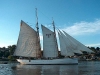 Mit dem Lotsenschoner auf der Elbe segeln